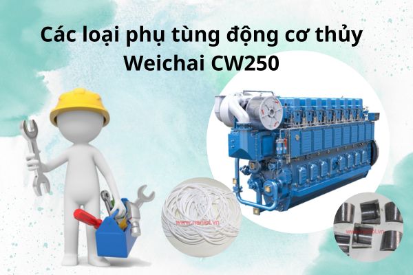 Các loại phụ tùng động cơ thủy Weichai CW250