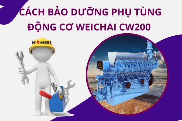 Cách bảo dưỡng phụ tùng động cơ hàng hải Weichai CW200